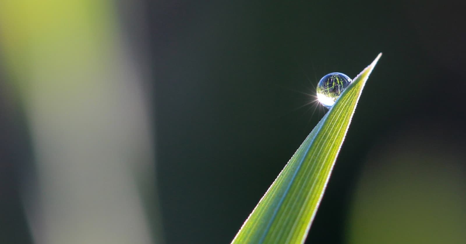 Renewing Azure certificate