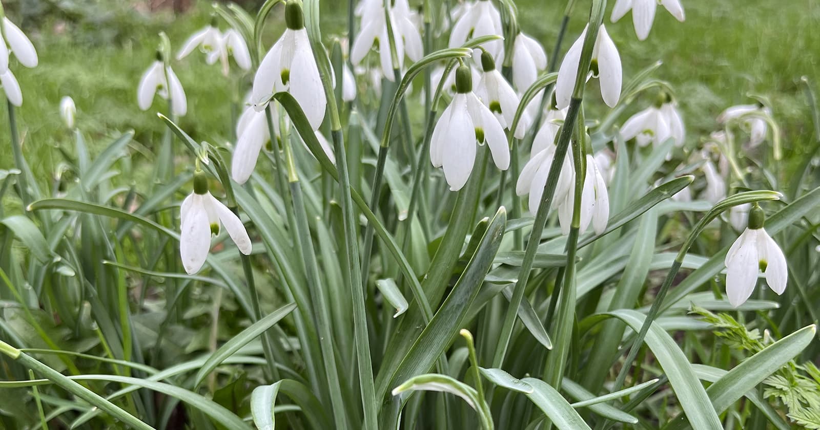 How to replace FluentAssertions library